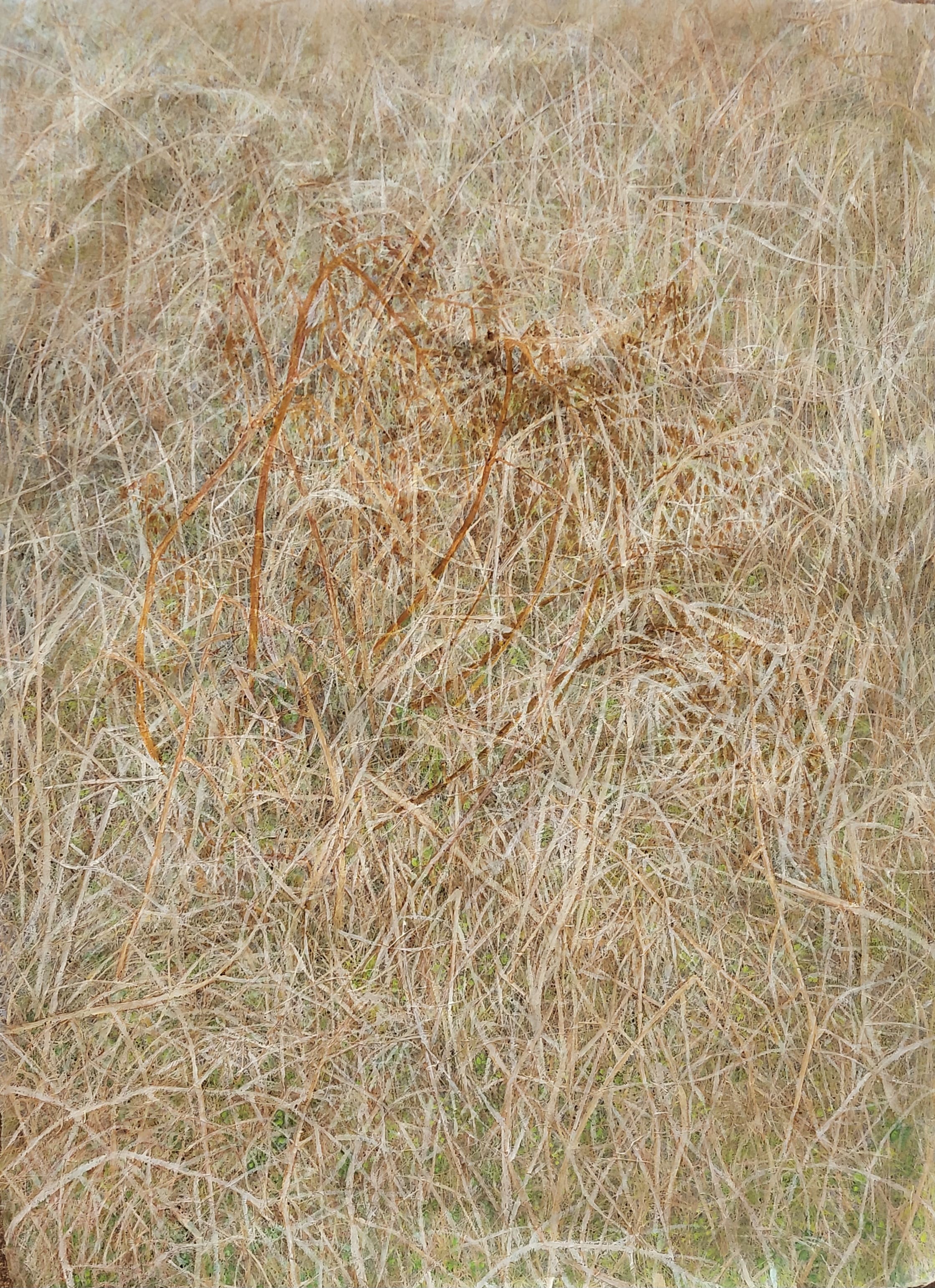 김명춘 - 순환_봄