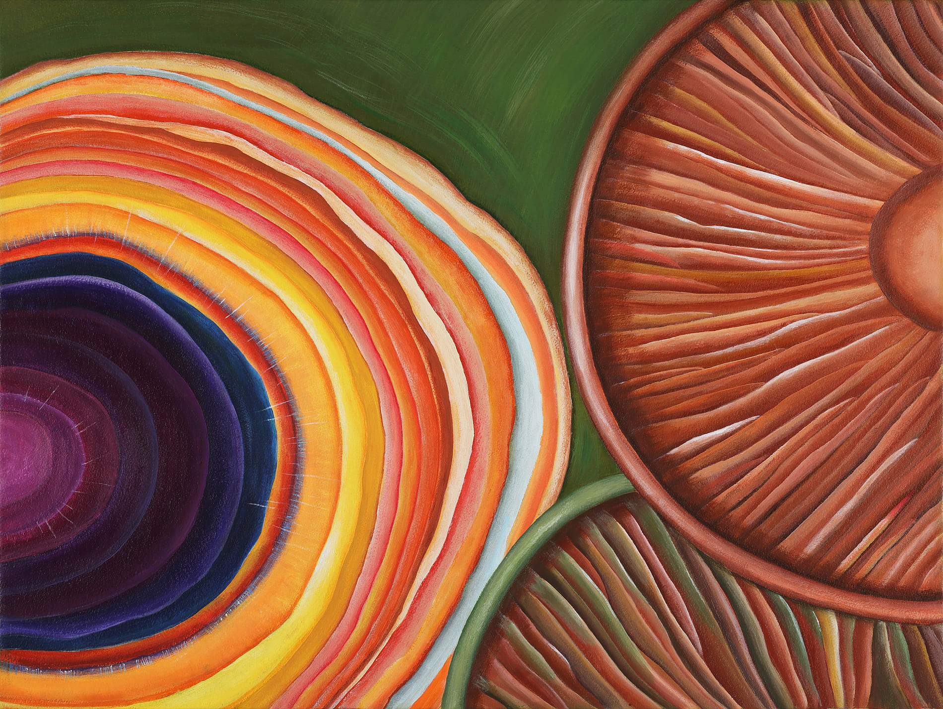 김은해 - 자연이 그리는 무늬