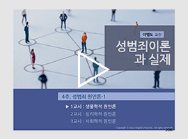 성범죄 이론과 실제 이병도 교수