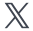 X로고
