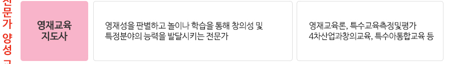 영재교육 지도사